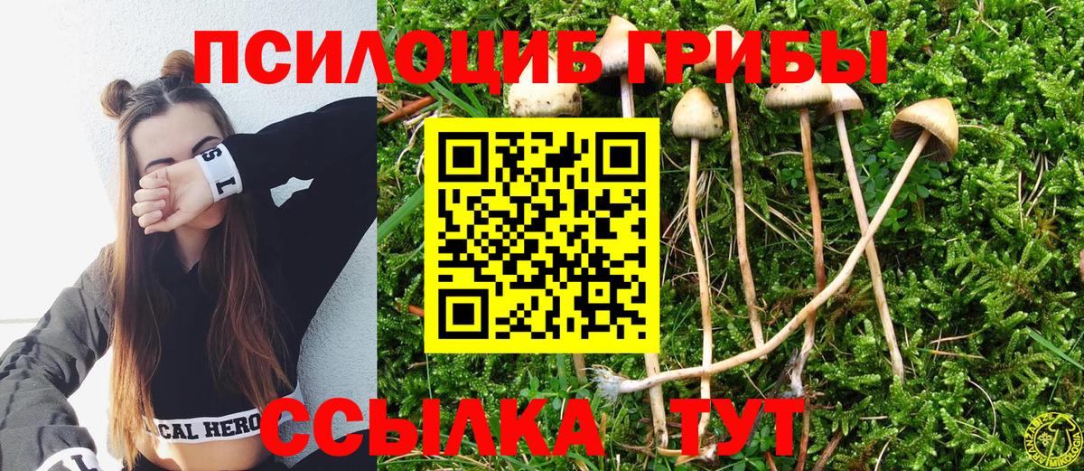 Псилоцибиновые грибы прущие грибы  Вход с VPN  Прохладный 